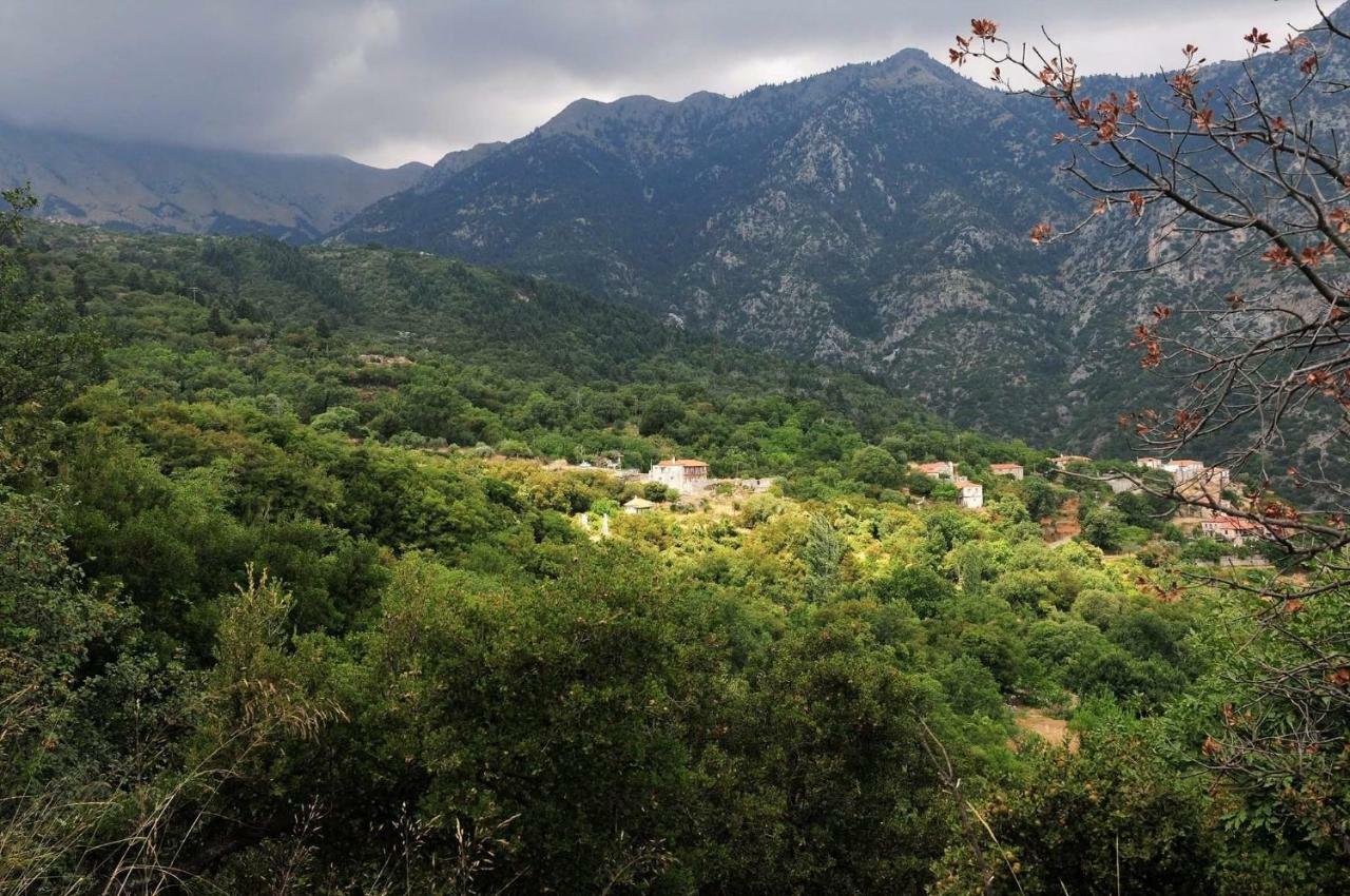 Arxontiko Taygeti Hotel Mystras Eksteriør billede